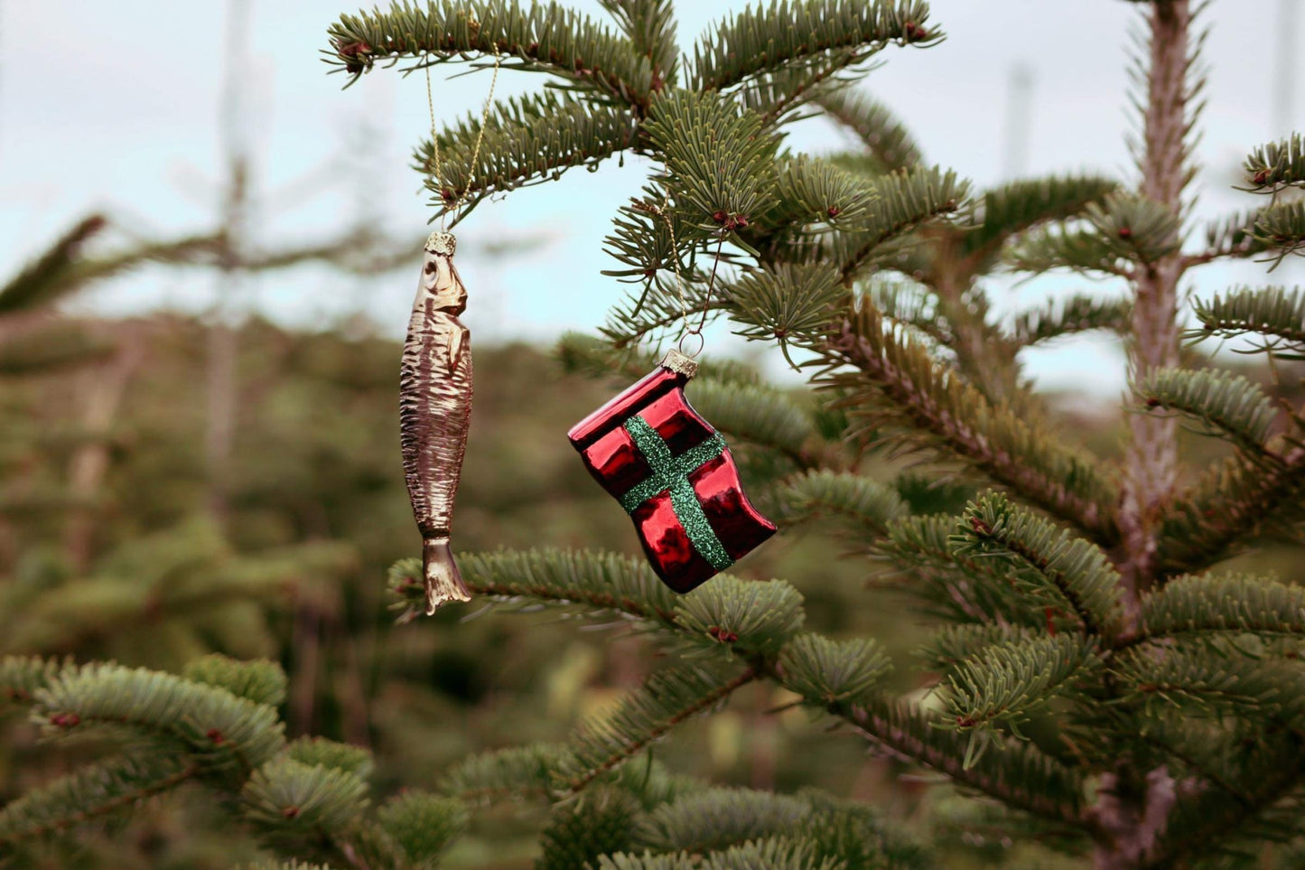 Bornholmsk flag glimmer kors