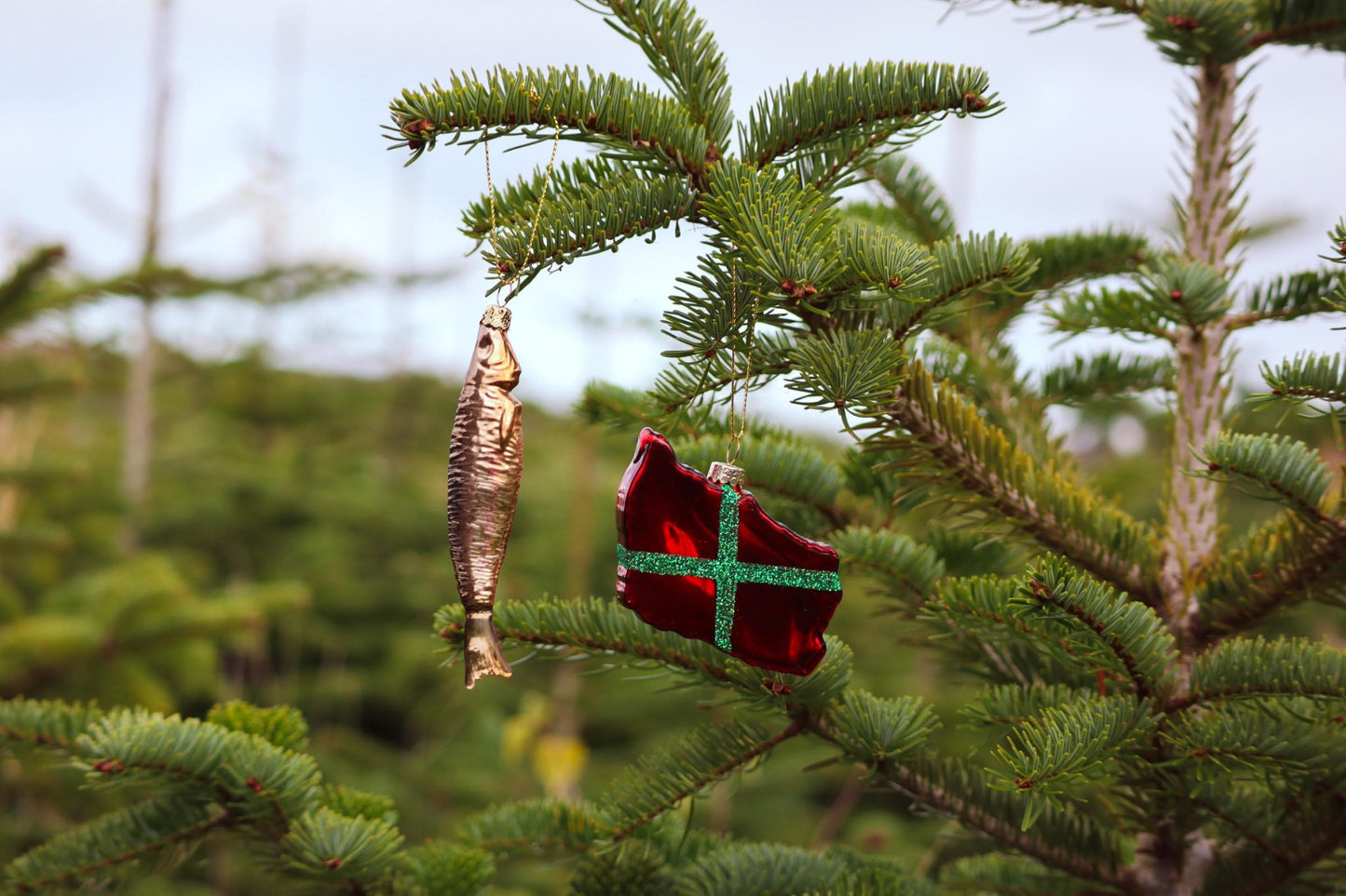 Bornholm omrids m. BH. flag
