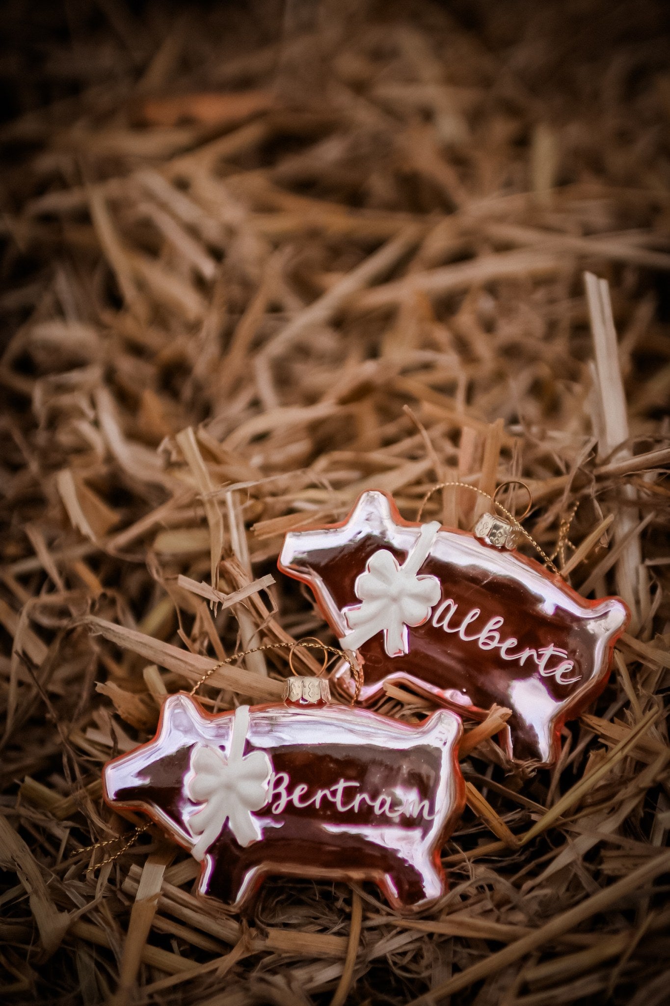 Blank Kagegris '24 Personlig tekst