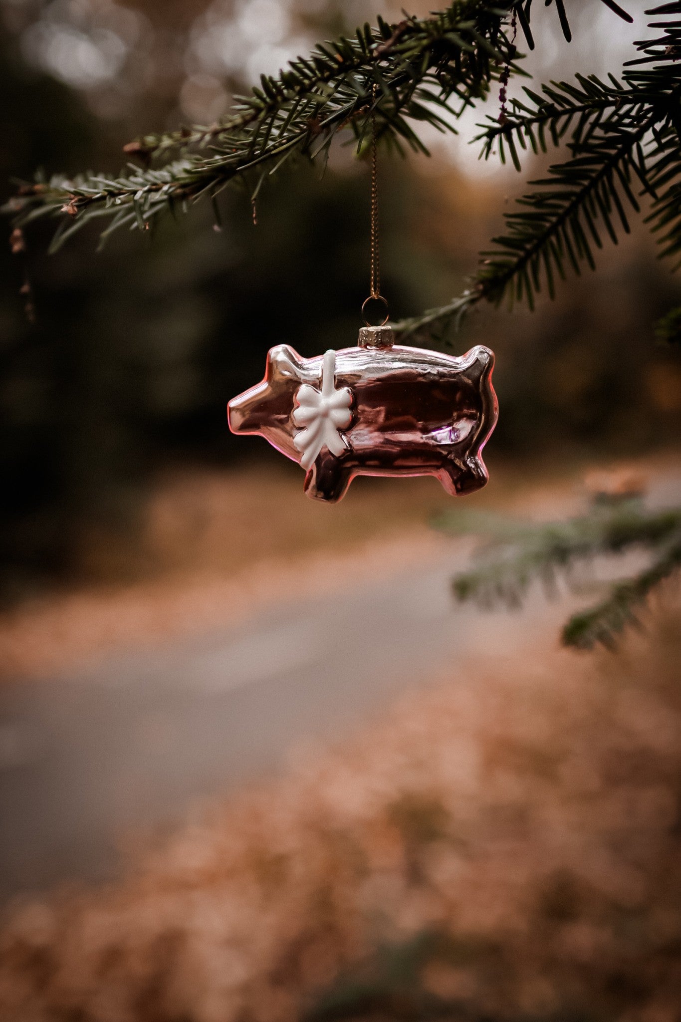 Kagegris 24' Sløjfe Blank